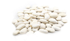 White beans