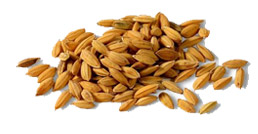 Rice & Bean keeps the skin moisturized. Rice & Bean keeps the skin moisturized.